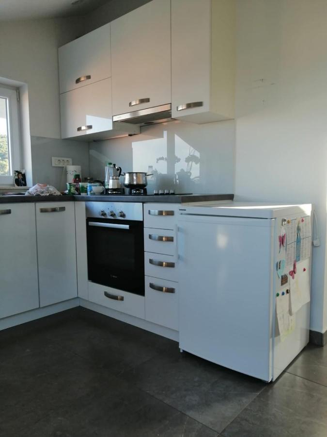 Apartman Dunatov 普莱克 外观 照片